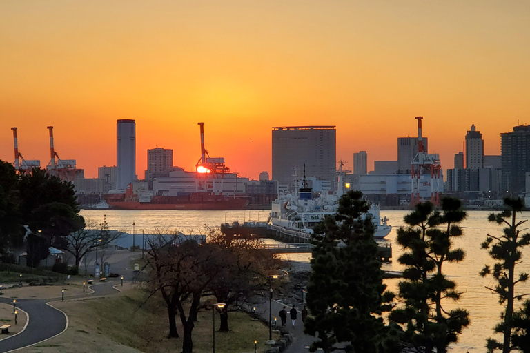 Visite privée de 5 heures en cas d&#039;escale à Tokyo