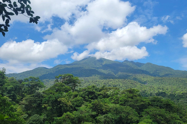 Cerro Caballito: Sunrise Hike, Gulf of Nicoya & Blue Zone