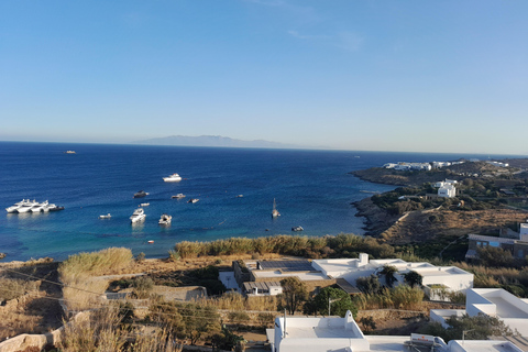 Mykonos Discovery: Private Tour with Hotel/Cruise Pickup 2 Hours Private Tour