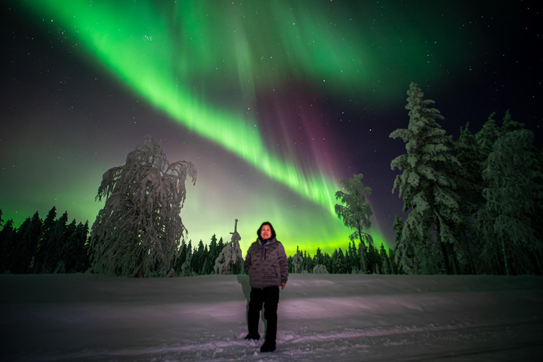Rovaniemi: Northern Lights Tour – Guaranteed with Photos Small-Group Northern Lights Tour – Guaranteed with Photos