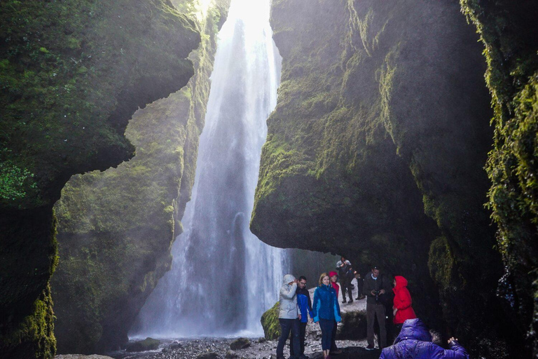 From Reykjavik: South Coast Tour & DC-3 Plane Wreck South Coast Tour & DC-3 Plane Wreck