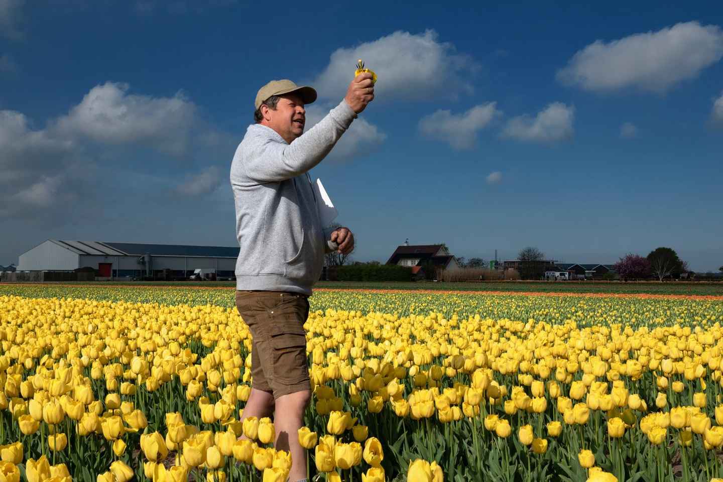 Amsterdam: Keukenhof, Tulpenfarm Ganztagestour mit Kreuzfahrt
