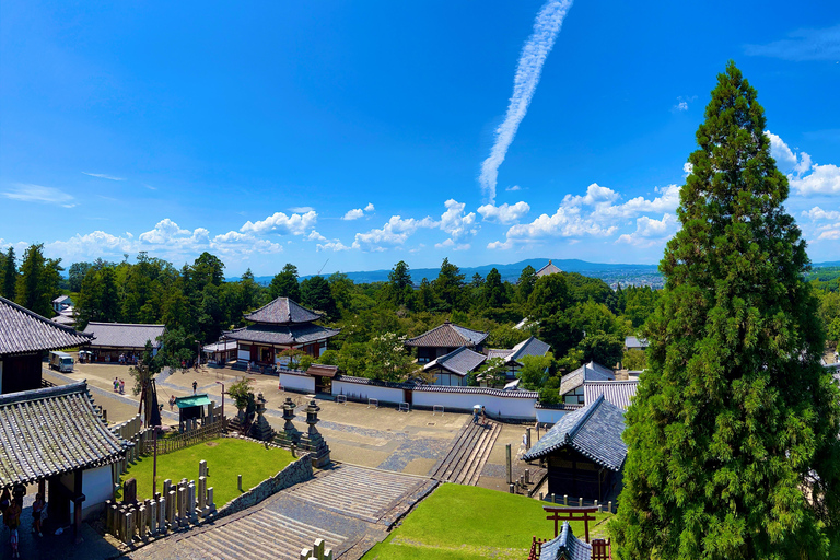 Visite privée de Nara. Le cœur ancien du Japon