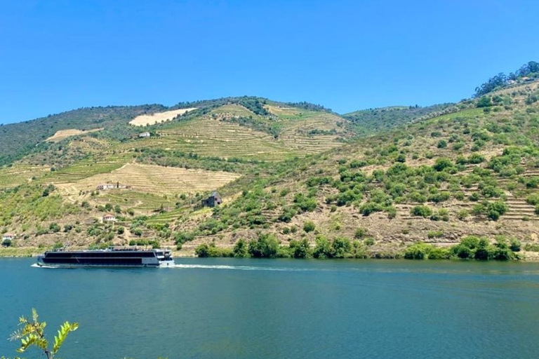 Porto: Dourovallei-ervaring met 3 wijnhuizen en lunchDouro Valley Tour: 3 wijngaarden allemaal inbegrepen