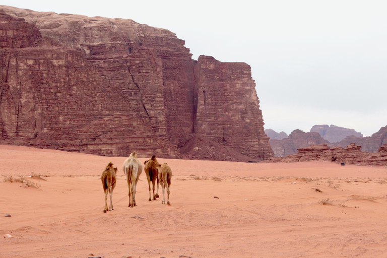 8-dniowa podróż z jogą do Jordanii: Amman, Petra i Wadi Rum, Morze Martwe