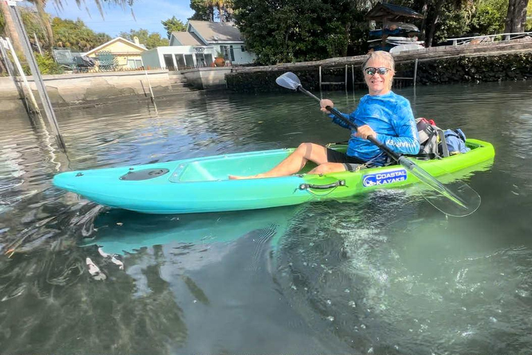 Three Sister Springs: Self Guided Tour- Clear Kayak Rental Kings Bay/Three Sisters: Self Guided Tour- ClearBottom Kayak