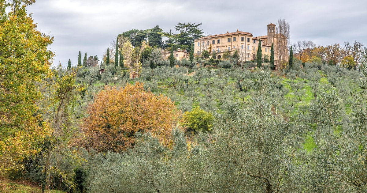 Monteleone Sabino: EVOO Tasting Experience, PVT Convent Tour | GetYourGuide