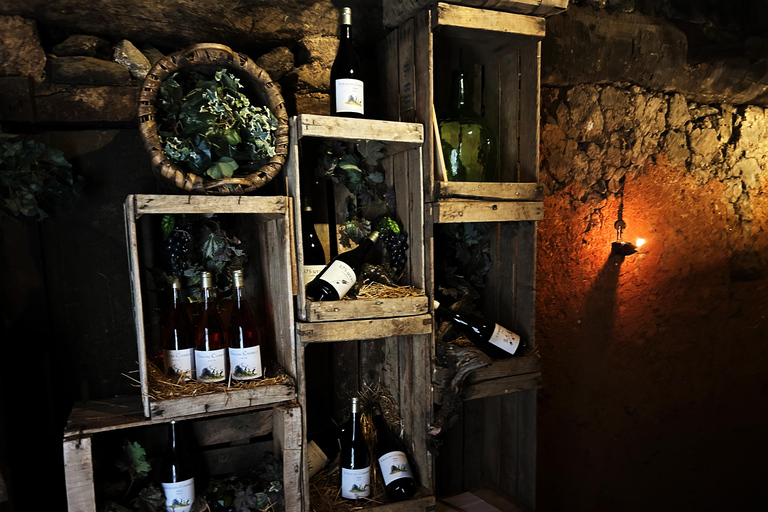 Unique experience in a medieval winery with wine tasting