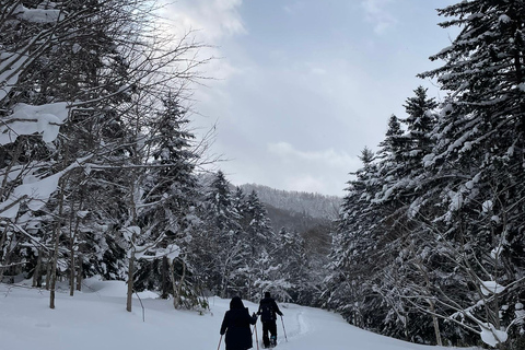Shikotsu-Toya National Park: Guided Snowshoe Hike and Onsen Shikotsu-Toya National Park: Guided Snowshoe Hike and Onsen.