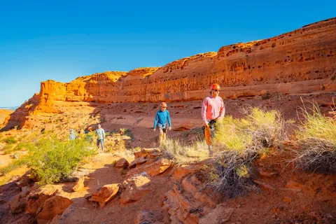 Greater Zion: UTV Ride and Rappel Combo Adventure