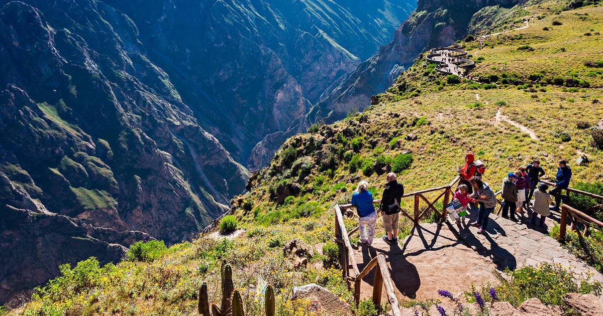 Excursion d'une journée au Canyon de Colca à Arequipa | GetYourGuide