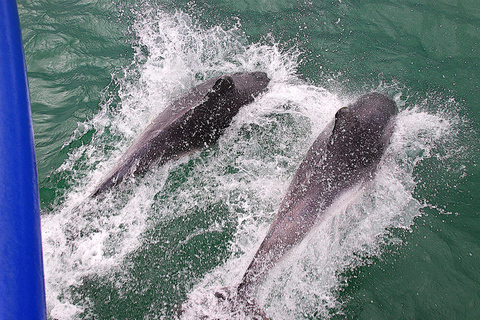 Poole: Crociera circolare sulla costa giurassica