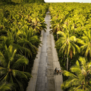 Siargao: Land Tour with a Boodle Fight Lunch Siargao: Land Tour with a Boodle Fight Lunch