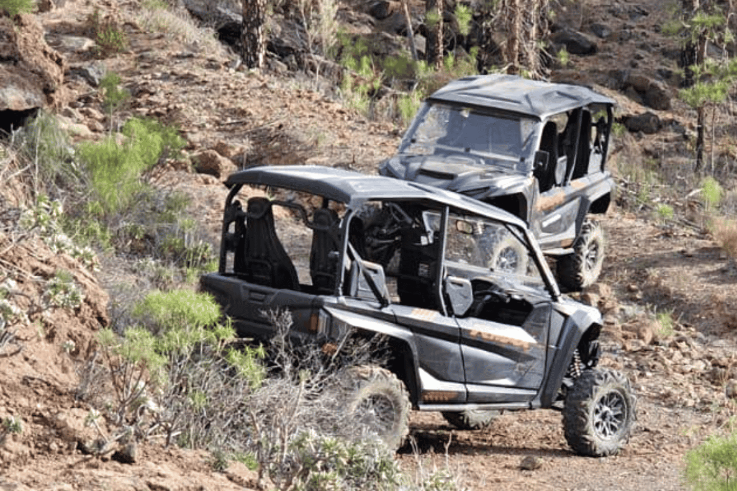 From Maspalomas: Volcanic Landscapes 4-Seater Buggy Tour