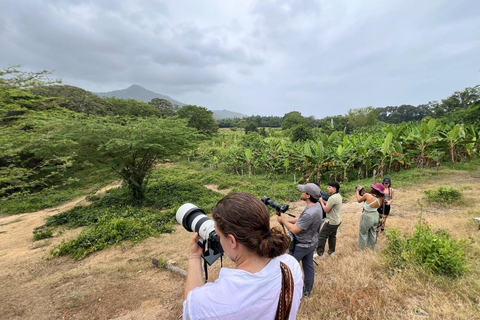Palomino: Guided Birdwatching Tour with Hotel Pickup