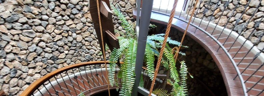 Tenerife : Bodega Viñátigo - Dégustation commentée de 3 vins