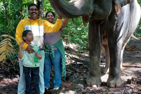 Colombo Flughafen (CMB) nach Kandy Stadt PrivattransferTransfer im klimatisierten Mini-Auto