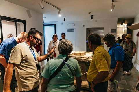 From Naples: Pompeii Shore Excursion for Cruisers with Guide From Pompeii: Guided Tour + Entry Ticket