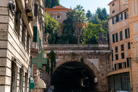 Castelletto Tour with Gardens & Waterfall in Genoa Castelletto Tour with Gardens & Waterfall in English