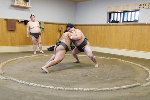 Sumo Morning Practice Tour with English-speaking Guide