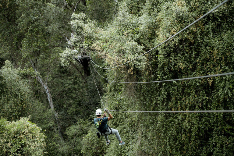 Fiume delle Tempeste: Tour con la zipline del Parco Nazionale di Tsitsikamma