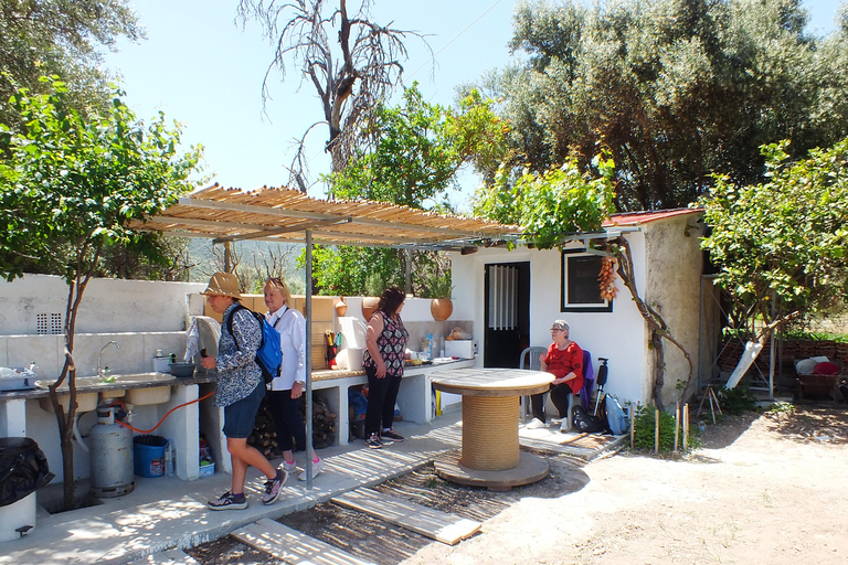 Sentier de l&#039;olivier, cours de cuisine et dégustation d&#039;huile d&#039;olive