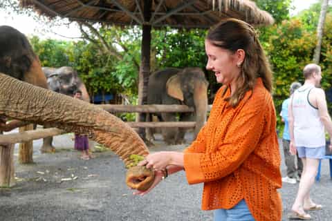 Krabi: Ao Nang Elephant Sanctuary Tour - Image 3