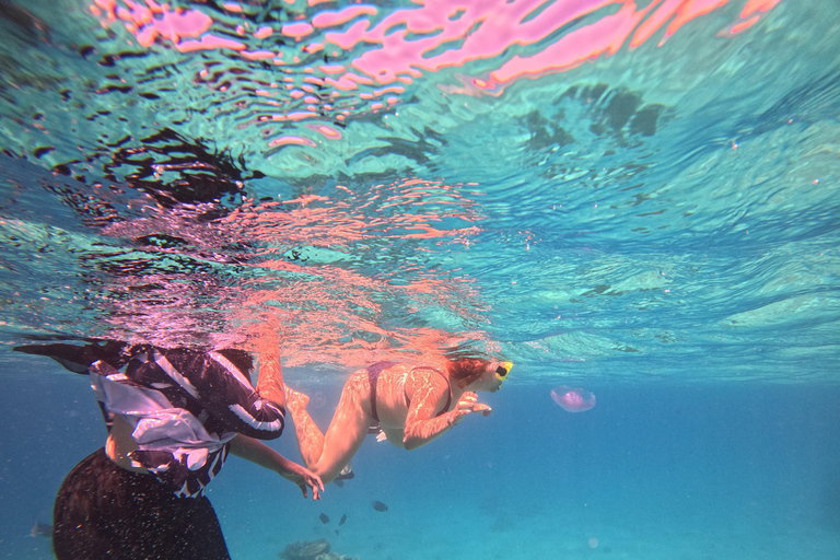 Hurghada: 4-Hour Dolphin Speedboat & Sea Scooter Snorkeling