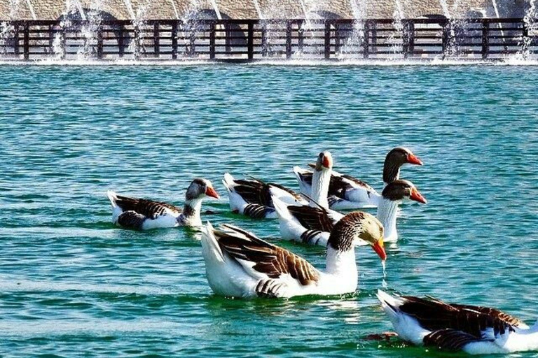 Discover Doha: The Ultimate City Journey