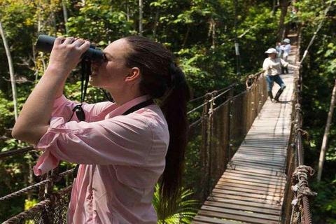 Excursion in the Madre de Dios-Inkaterra Amazon Reserve