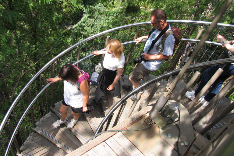 Puente colgante de Capilano/Tour privado en coche/Precio garantizado