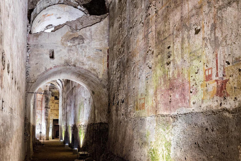 Rome: Domus Aurea Tour met Virtual Reality Experience