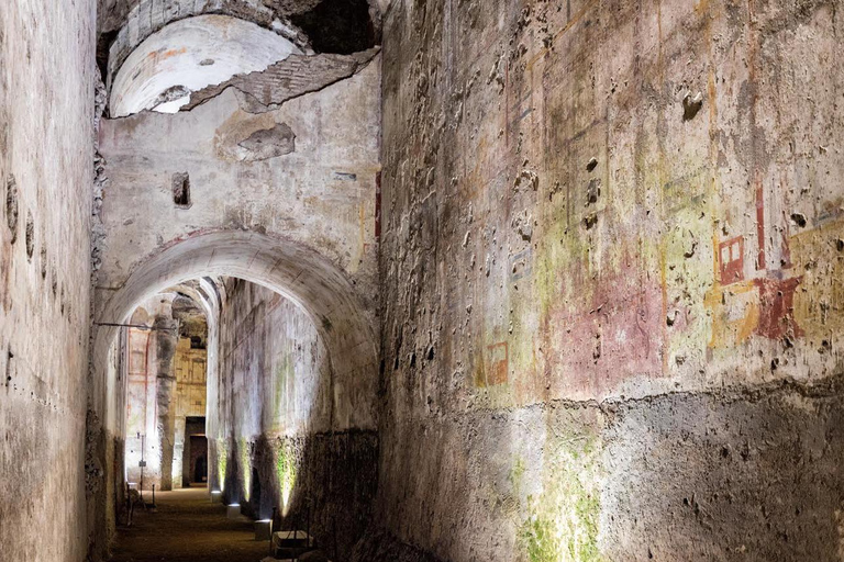 Rom: Domus Aurea Domus Aurea-tur med Virtual Reality-upplevelse