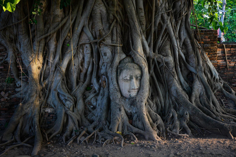 Bangkok: Tour guiado particular em Ayutthaya com traslado do hotel