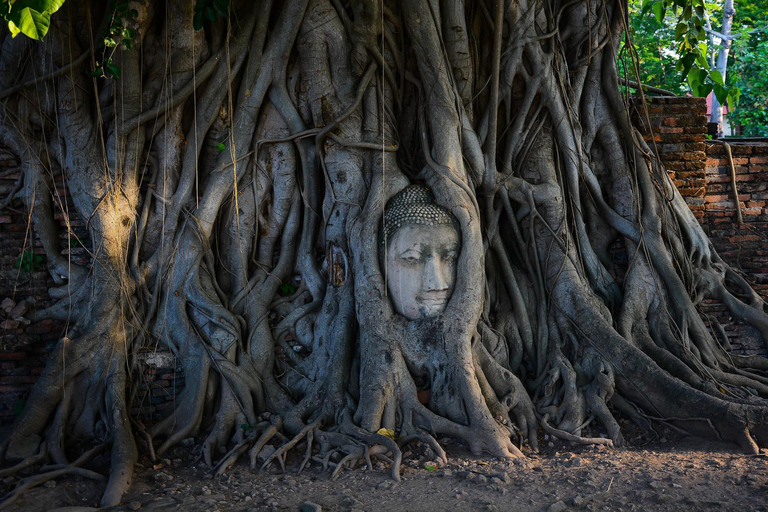 Bangkok: Tour guiado particular em Ayutthaya com traslado do hotel