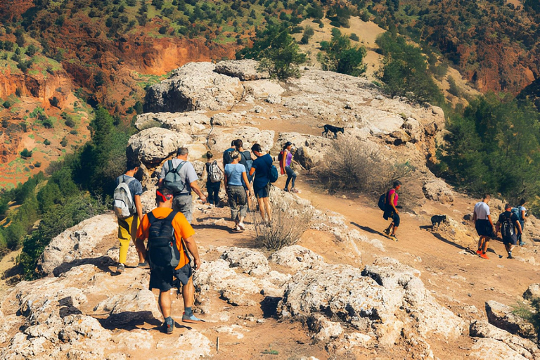 Agadir: 4x4 Atlas Mountains Berber Villages & Valley Trip