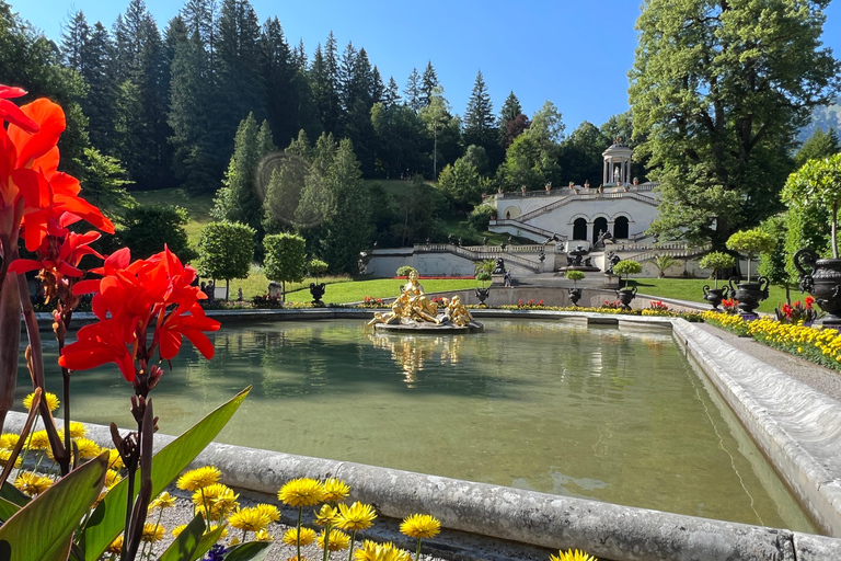 Excursión a Neuschwanstein desde Múnich en furgoneta de lujo para 6 personas con conductor privado