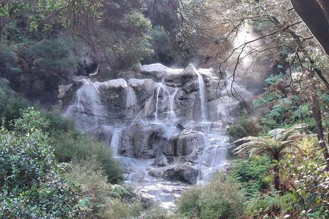 Tauranga: Hells Gate Geothermal Valley & Mud Spa Experience