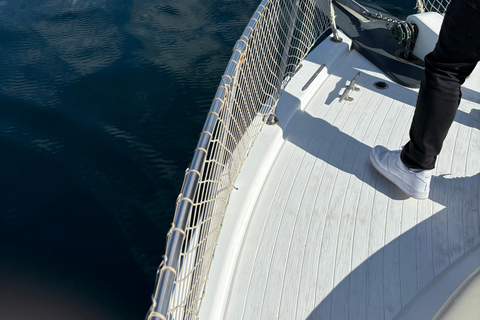 Estepona: Dolphins Searching Sea Cruise with Drink & Snacks Group Cruise