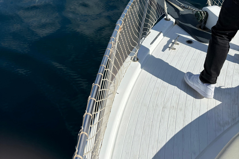 Estepona: Dolphins Searching Sea Cruise with Drink & Snacks Group Cruise