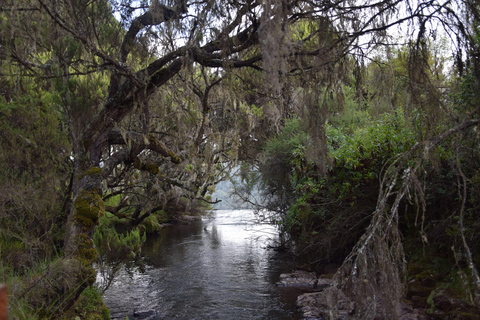 Discover Aberdare Park, Lake Naivasha & Hells Gate (3 days) Aberdare Park, Lake Naivasha & Hell's Gate (from Nairobi)