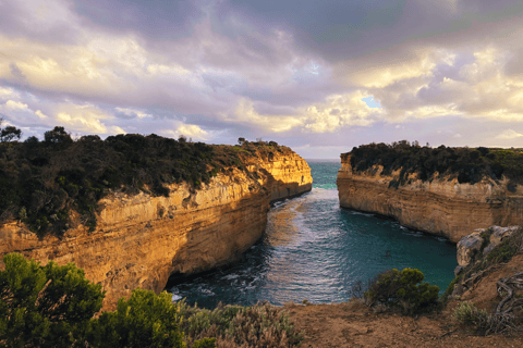 De Melbourne: Tour particular pelos 12 apóstolos e pela Great Ocean RoadExcursão de luxo (máx. 6 pessoas)