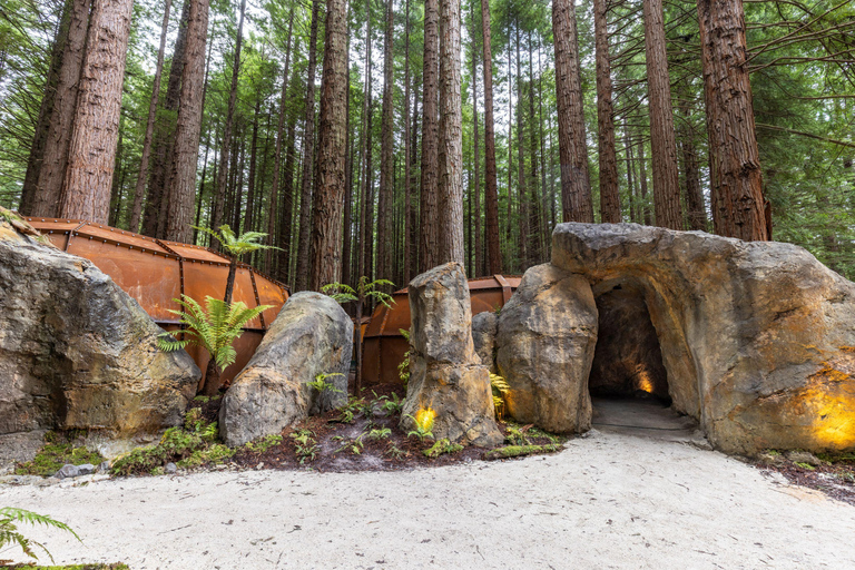 Rotorua: Glowworm Cave, Redwoods Forest & Te Puia Tour