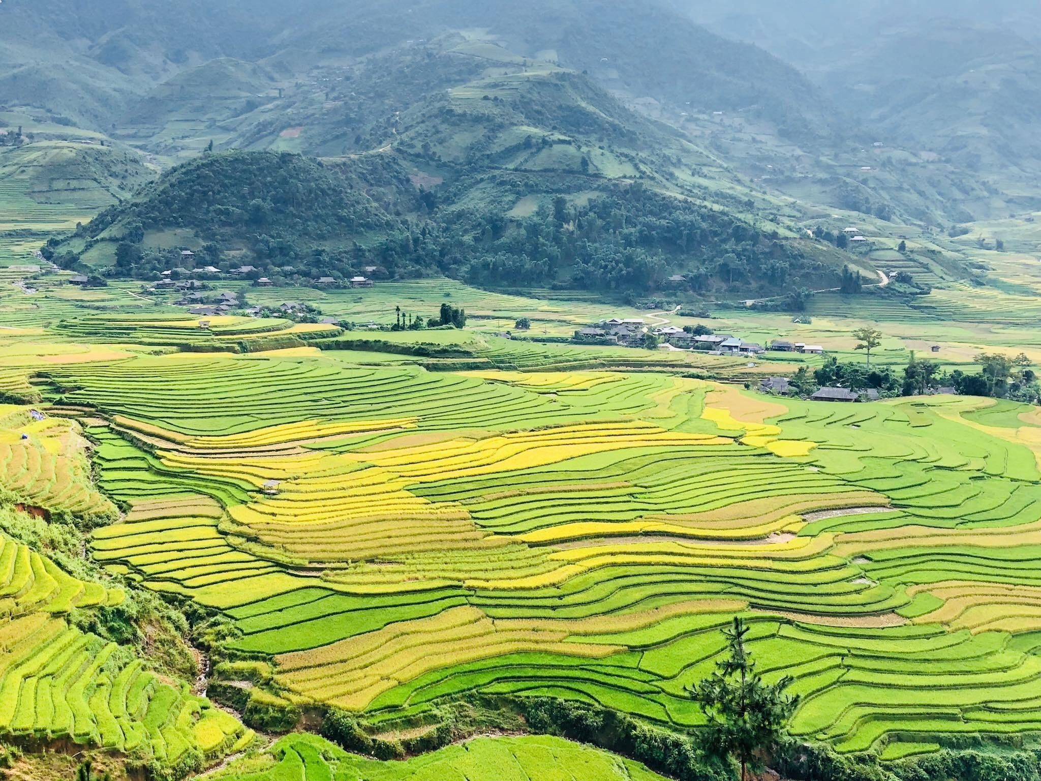 Sapa: Private Highlights Tagestour mit Mittagessen