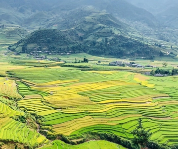 Mu Cang Chai: Private Car 1 day Tour mit ortskundigem Guide