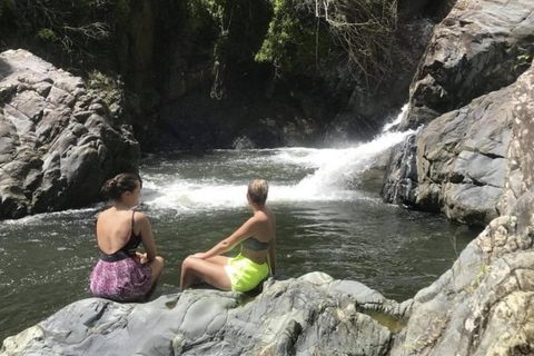 Puerto Rico : Visite guidée de la forêt tropicale d'El Yunque avec transferts
