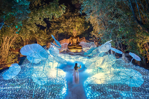 The Lens: Once-a-Year Light Festival Journey Light Festival at Na Satta Park: Magical Once-a-Year Moment