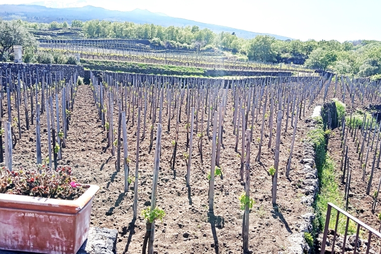 Von Taormina zum Ätna Private geführte Tour mit Weinverkostung