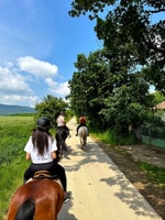 From Belgade, Mtn. Kosmaj Horse riding & hike Full-Day Tour - Housity