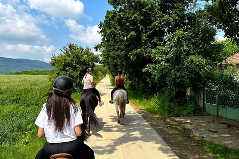 Depuis Belgade : Mtn. Kosmaj - Randonnée à cheval et excursion d'une journéeDéfiez l'aventure : randonnée à cheval et randonnée pédestre à la journée